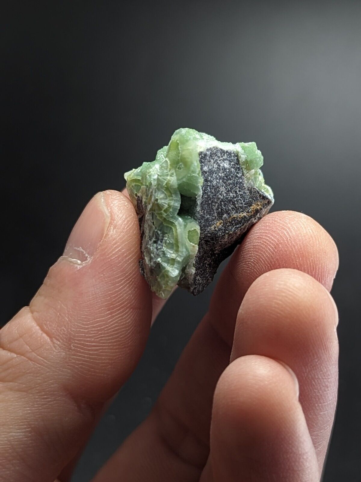 Lovely Wavellite - Fantastic Old Stock - Mauldin Mountain Arkansas ooak - Collectibles:Rocks Fossils &
