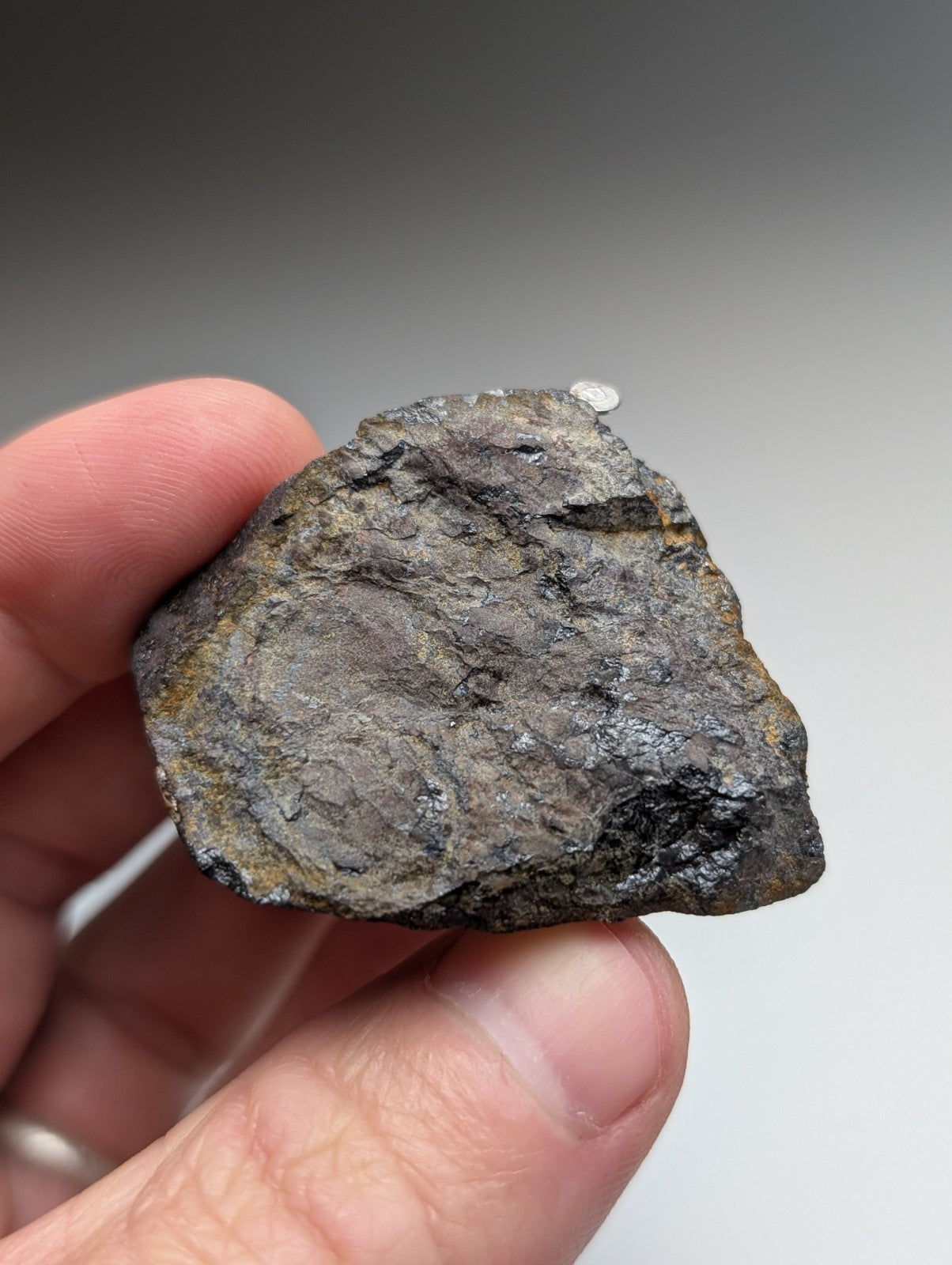 A dark irregular magnetite lodestone with yellowish-brown mineral streaks from Magnet Cove Arkansas unique old stock natural magnet
