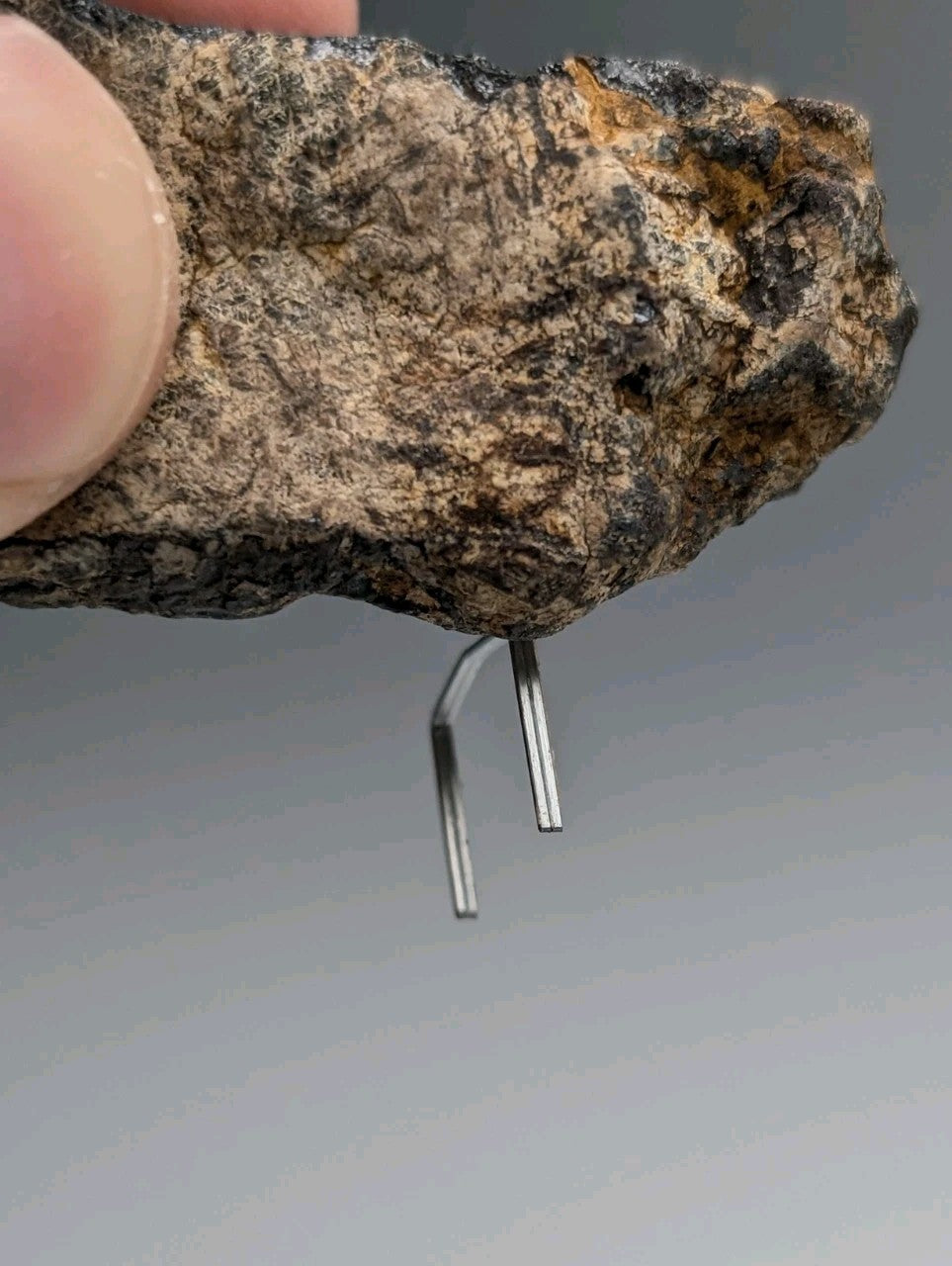 A rugged magnetite lodestone from magnet cove arkansas with a mottled gray brown and black surface natural magnet