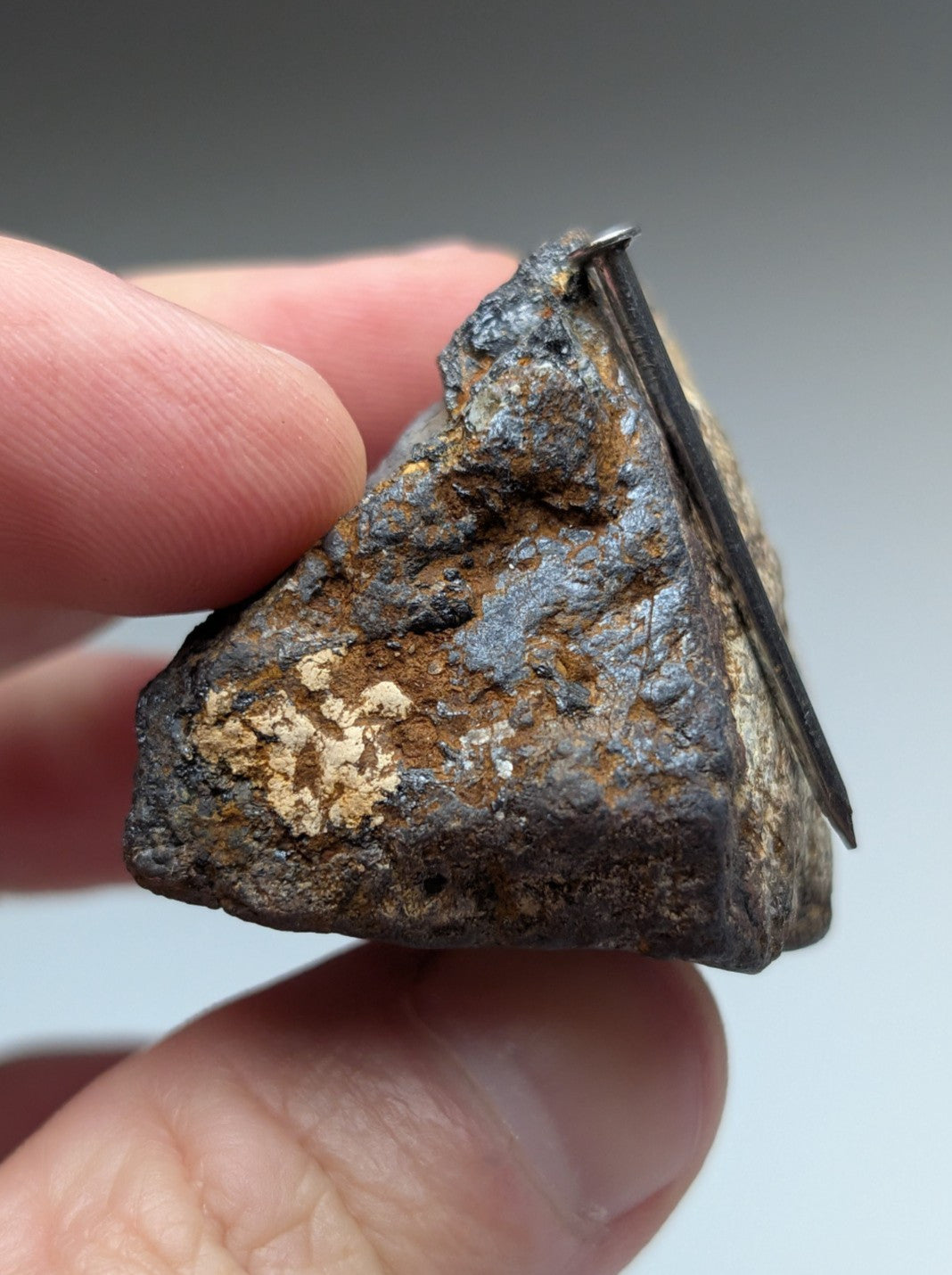 Magnetite lodestone meteorite from magnet cove arkansas with dark metallic surface and rust-colored oxidation patches