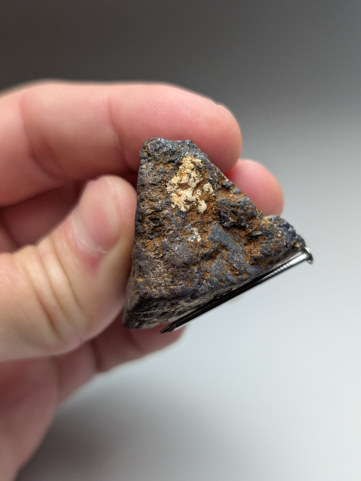 A triangular weathered magnetite lodestone with rust patches and golden-yellow mineral from Magnet Cove Arkansas