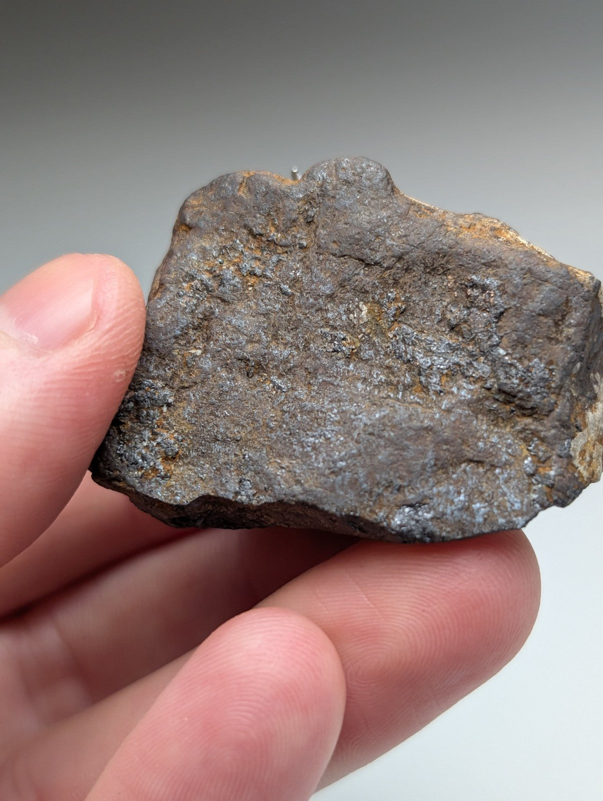 A rugged dark gray metallic magnetite lodestone with yellowish rust patches from Magnet Cove Arkansas unique old stock natural magnet
