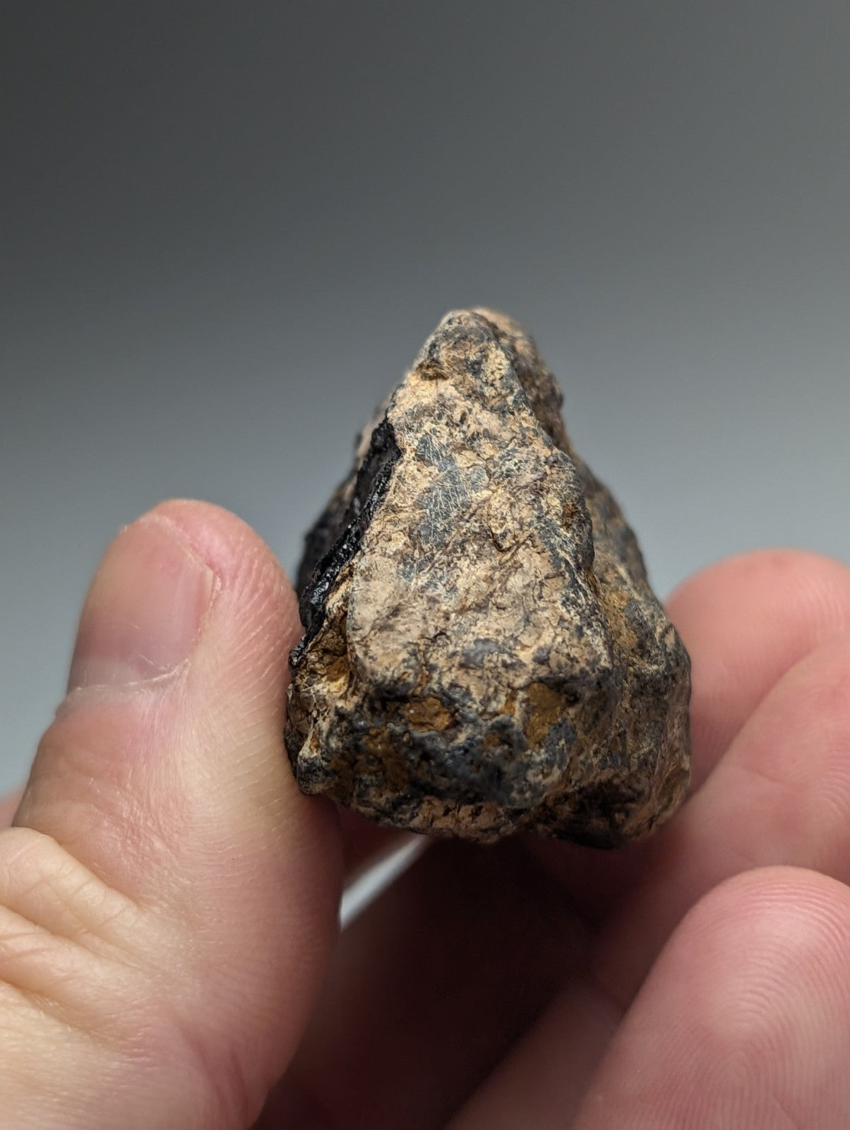 A rugged irregular magnetite lodestone meteorite with dark gray and brown mottled surface from Magnet Cove Arkansas