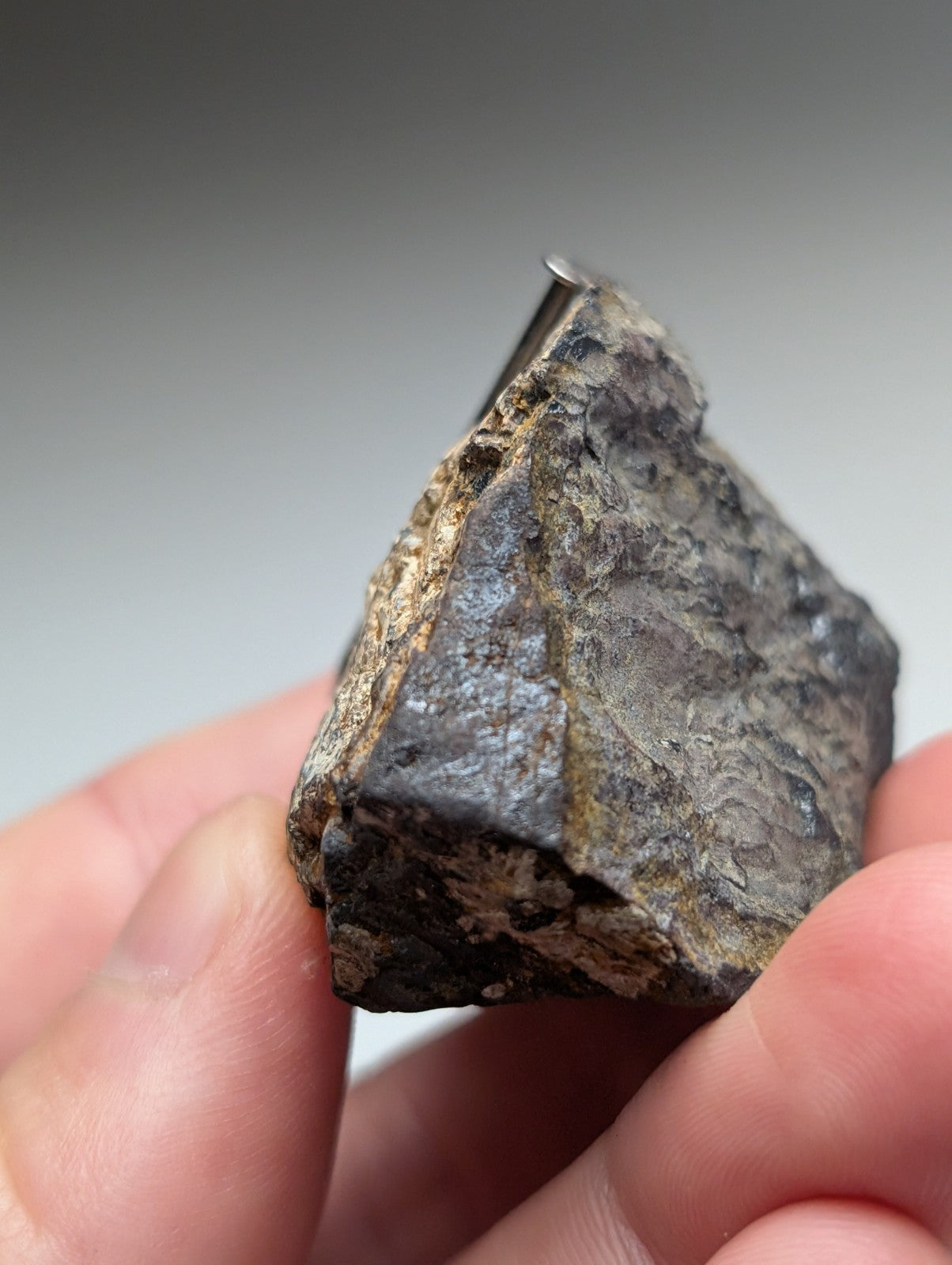 A rugged dark gray magnetite lodestone with a rough textured surface and metallic sheen from Magnet Cove Arkansas