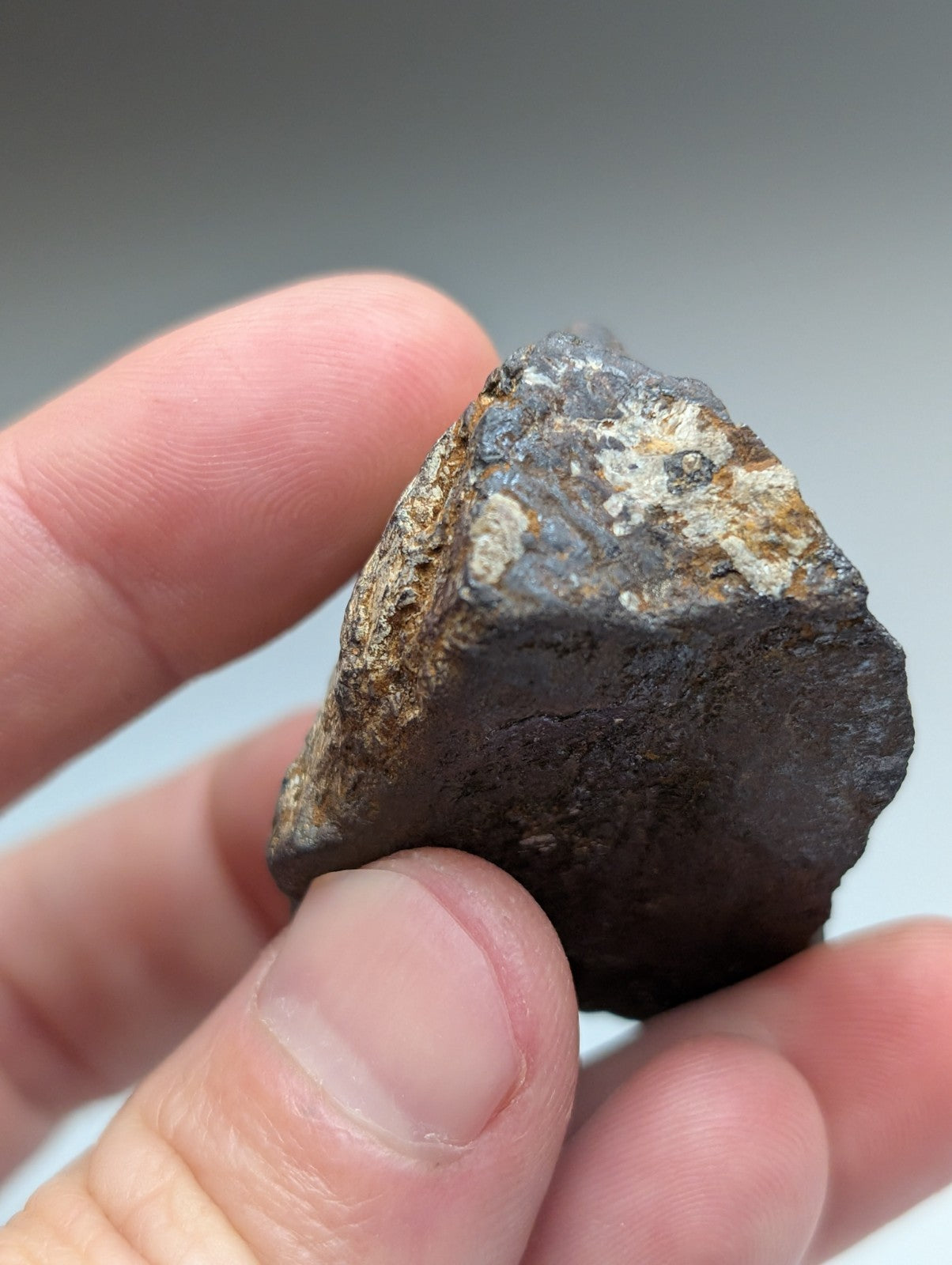 A dark irregular magnetite lodestone with brown and gray mineral patches from Magnet Cove Arkansas natural magnet