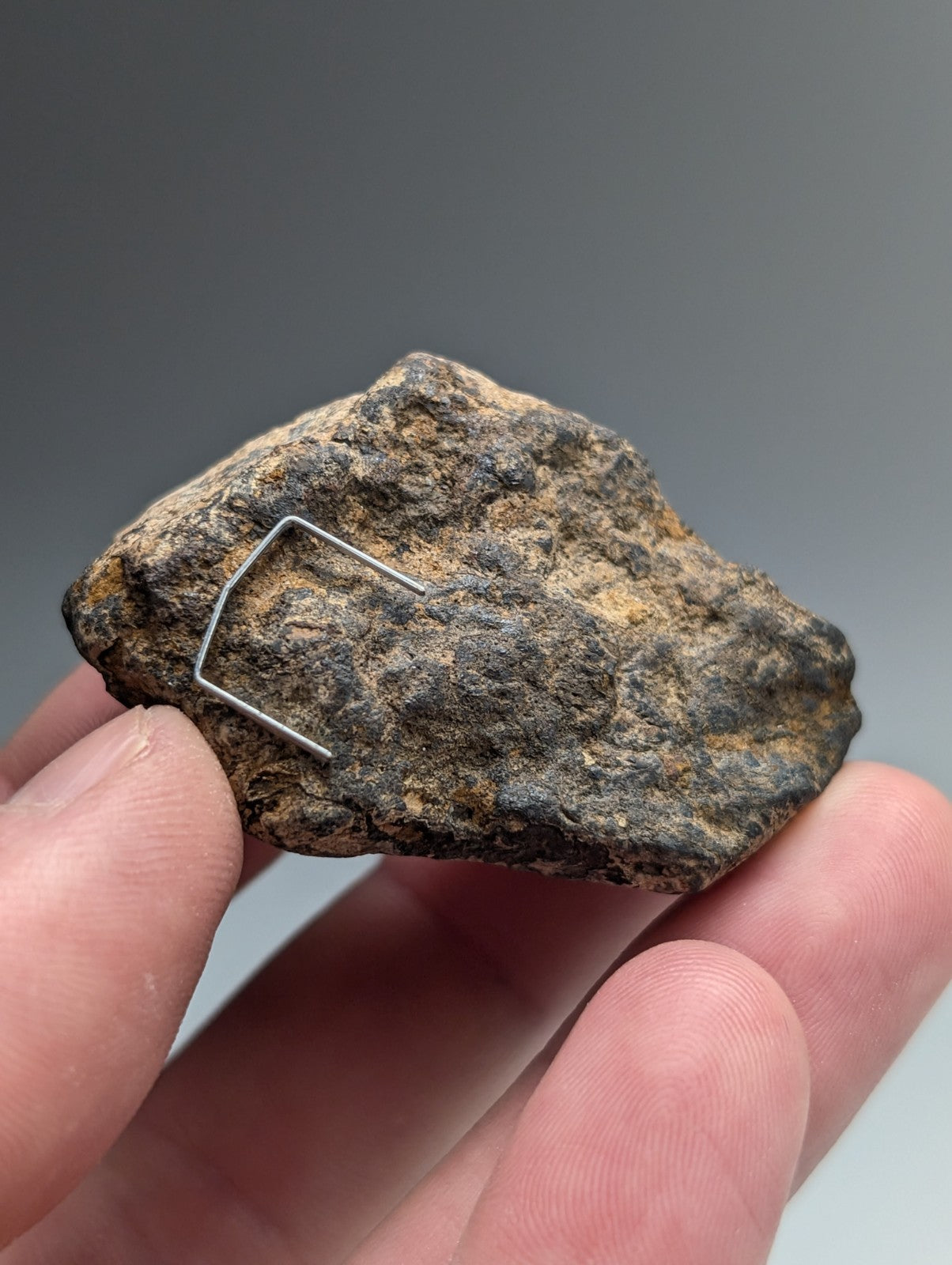 A rugged magnetite lodestone from magnet cove arkansas with dark brown and tan mottled surface held in hand