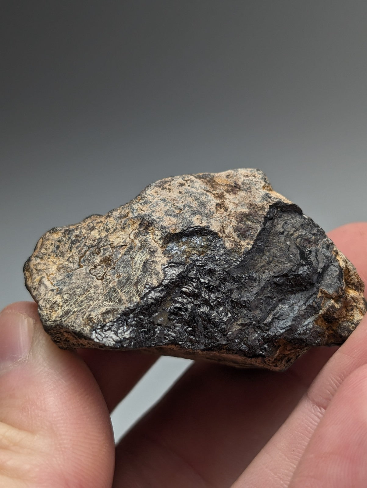 A rugged magnetite lodestone from magnet cove arkansas with a dark metallic core and speckled outer surface