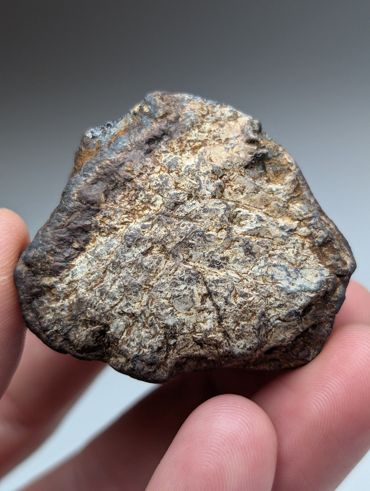 A rugged magnetite lodestone from magnet cove Arkansas with a mottled dark brown and gray natural magnetic surface