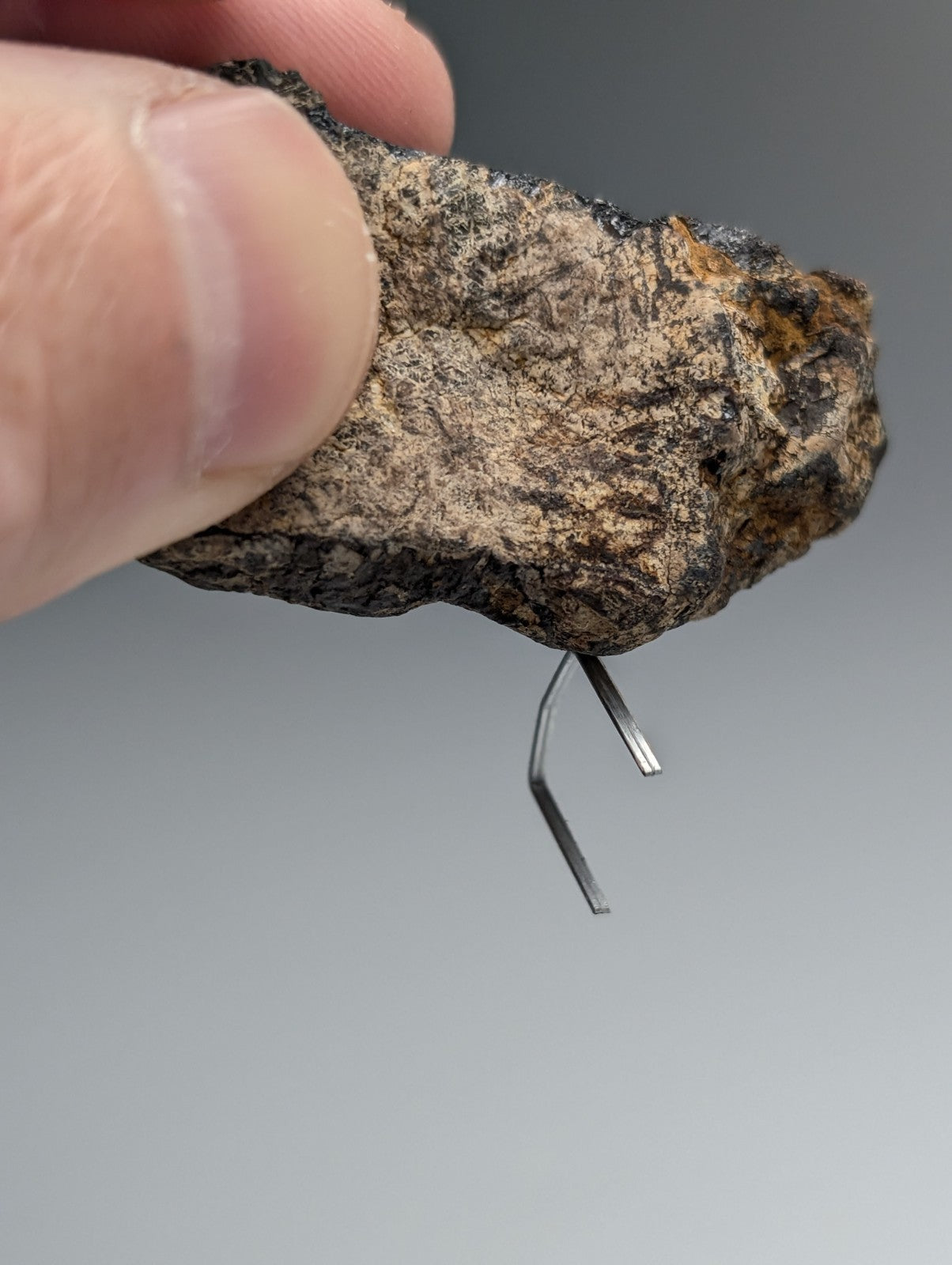A rugged irregularly shaped magnetite lodestone meteorite with mottled dark brown and gray surface from magnet cove arkansas