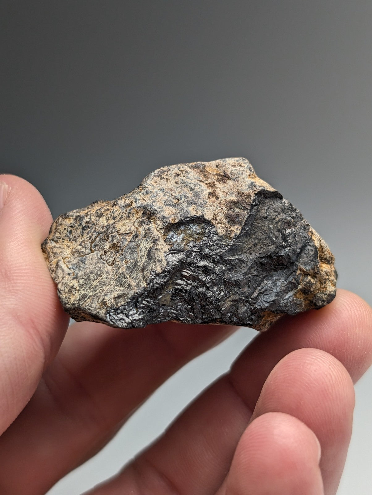A rugged magnetite lodestone with dark gray and tan mottled surface from magnet cove arkansas natural magnet