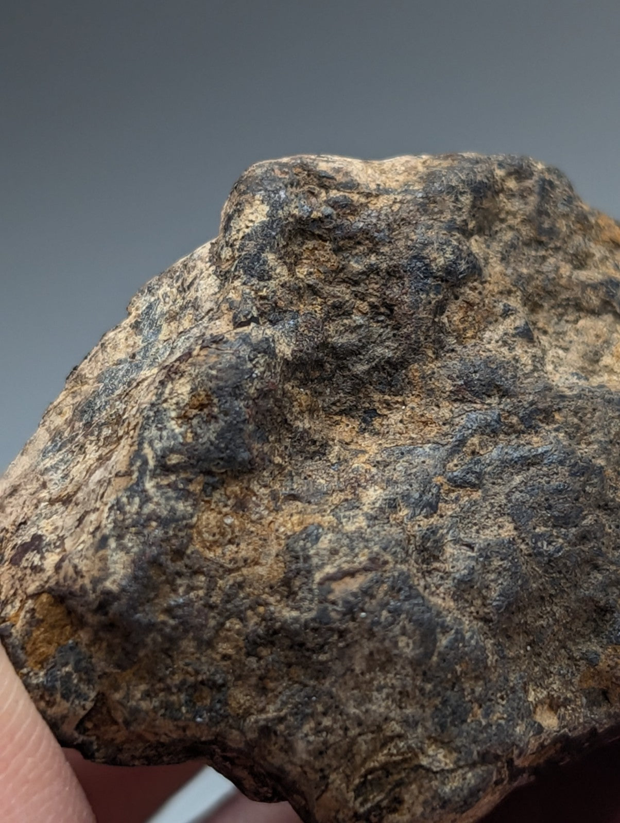 A rugged irregular magnetite lodestone with dark gray and tan mottled surface from magnet cove arkansas unique old stock