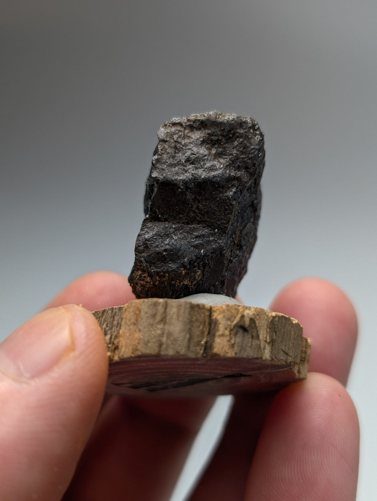 A dark rough-textured magnetite meteorite from Magnet Cove Arkansas resting on a rustic wooden stand slice