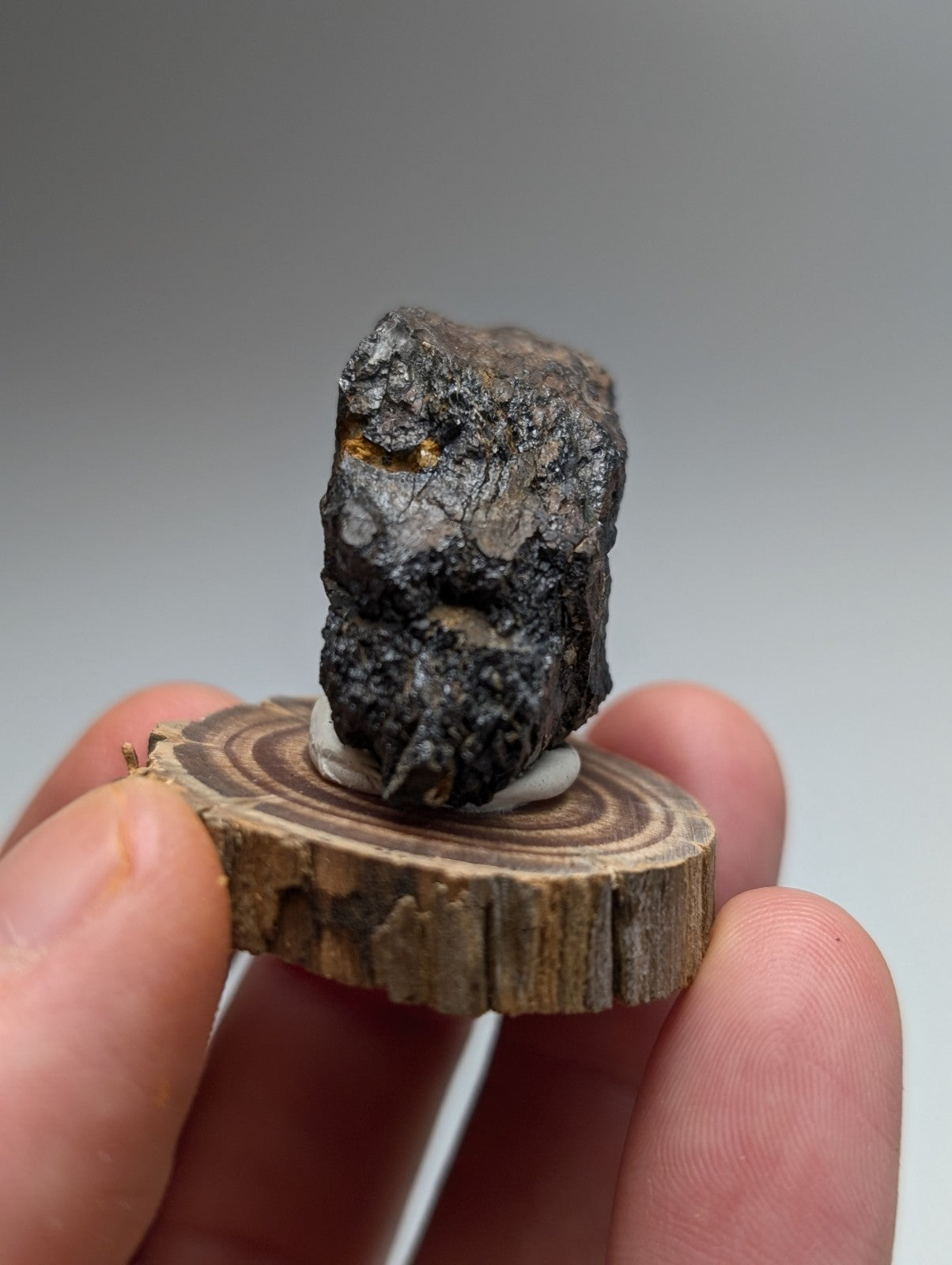 Magnetite specimen from magnet cove arkansas with dark rough texture and golden inclusions on a wooden stand