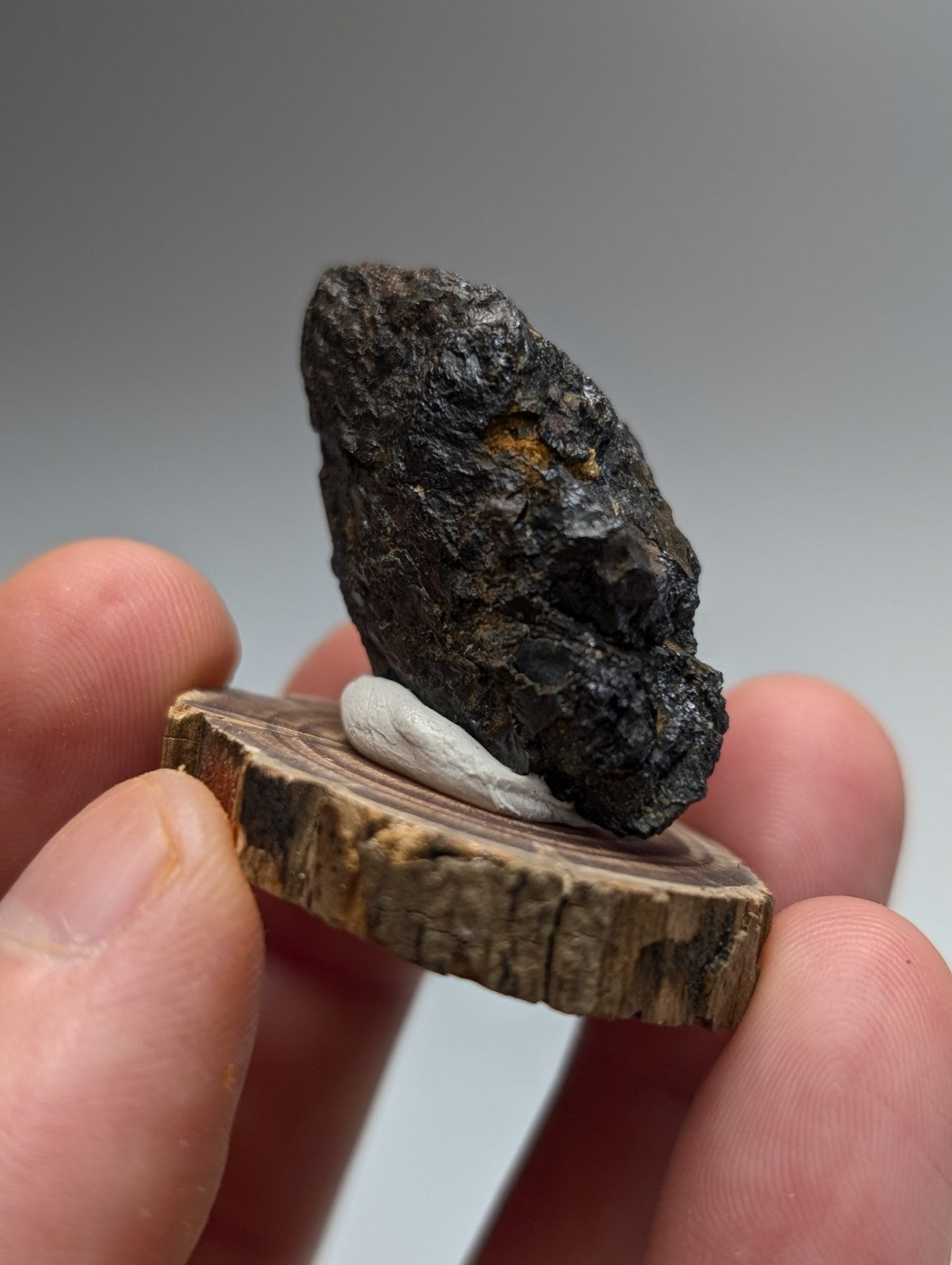 A dark rough-textured magnetite meteorite with orange mineral patch on wooden stand from Magnet Cove Arkansas