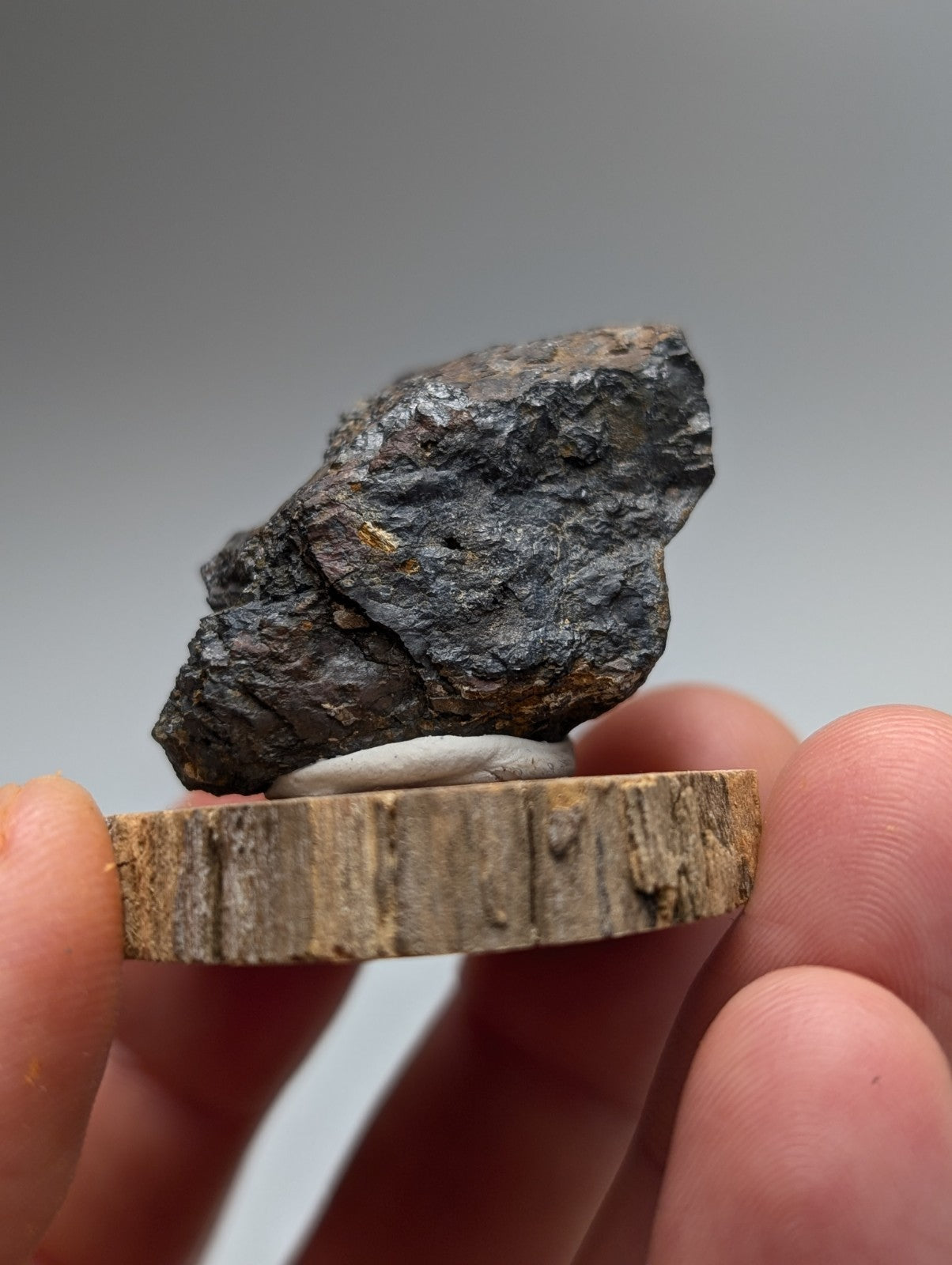 A dark rough-textured magnetite with subtle golden flecks from Magnet Cove Arkansas on a natural wood slice stand