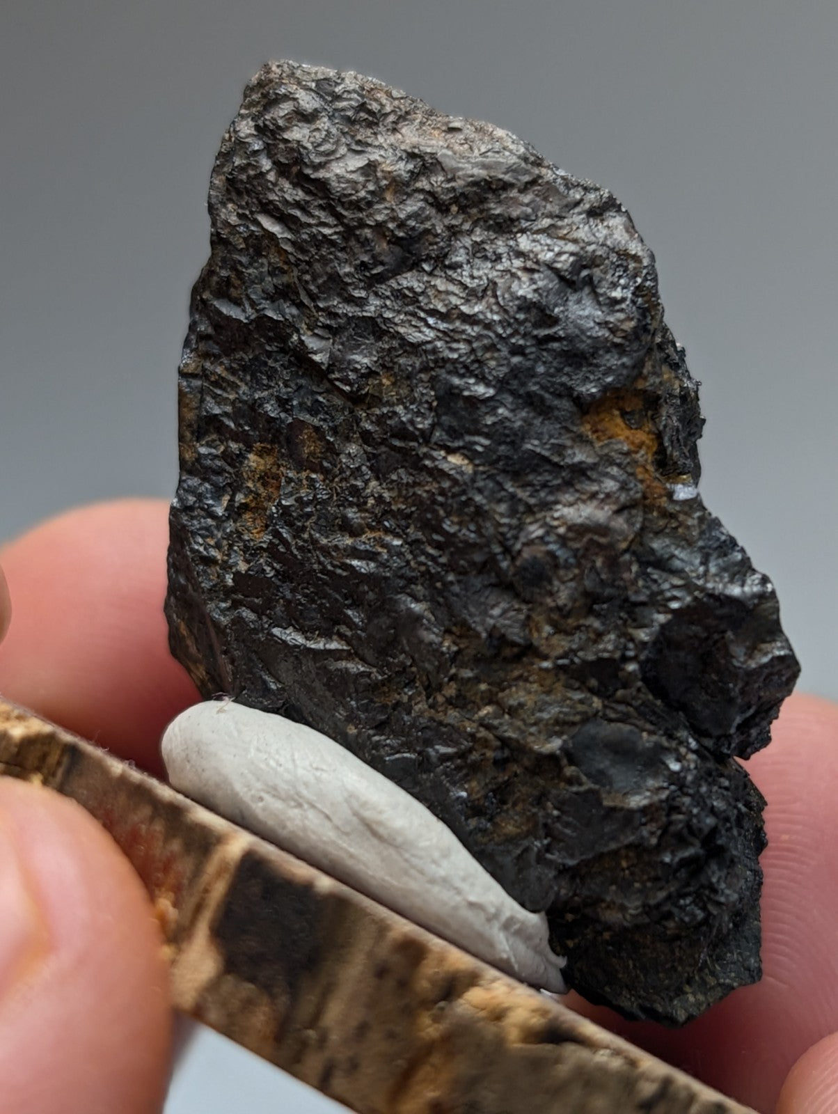 Dark rough-textured magnetite meteorite fragment with orange mineral inclusions from magnet cove arkansas on wood stand