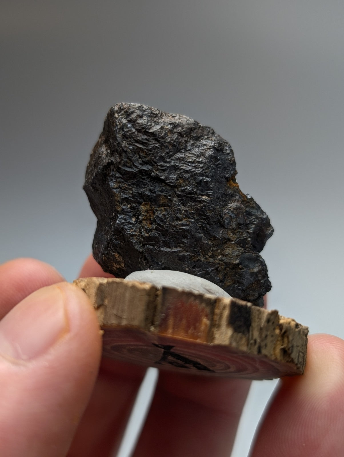 Magnetite specimen from magnet cove arkansas with dark matte black rough texture and subtle metallic sheen on wood stand
