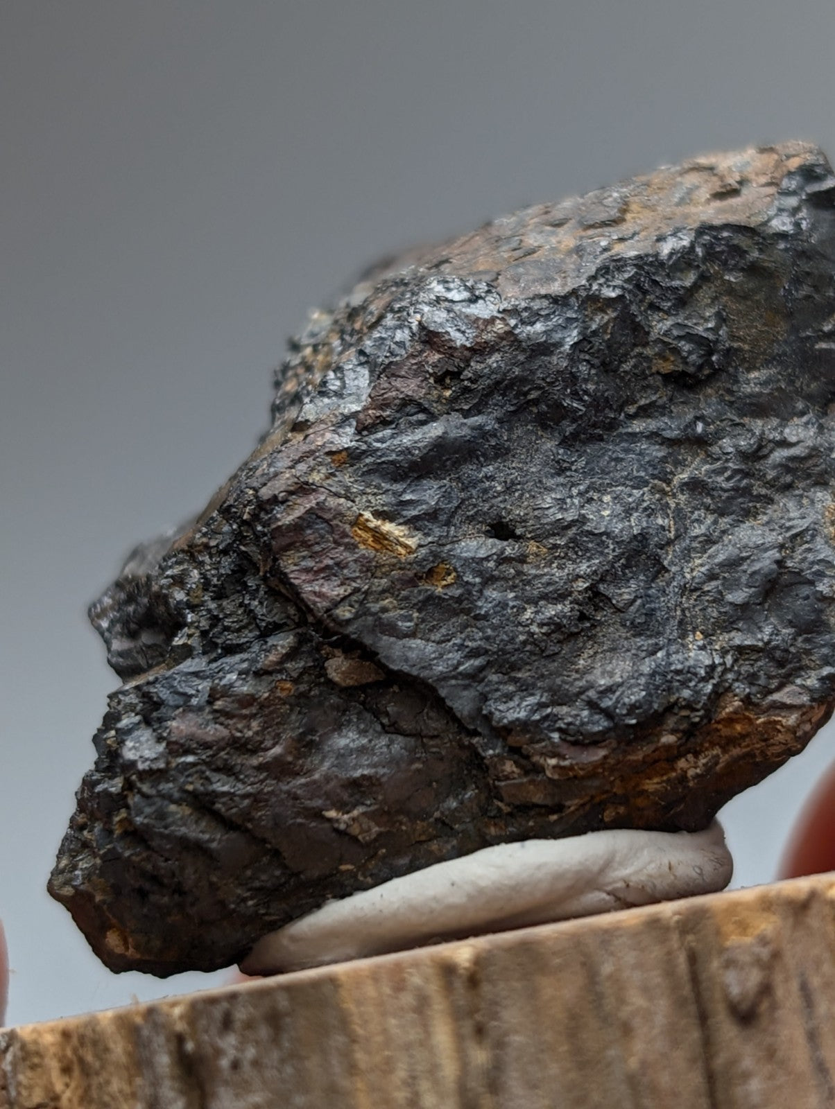 Magnetite meteorite from magnet cove arkansas with rugged dark gray surface and subtle golden flecks on wood stand