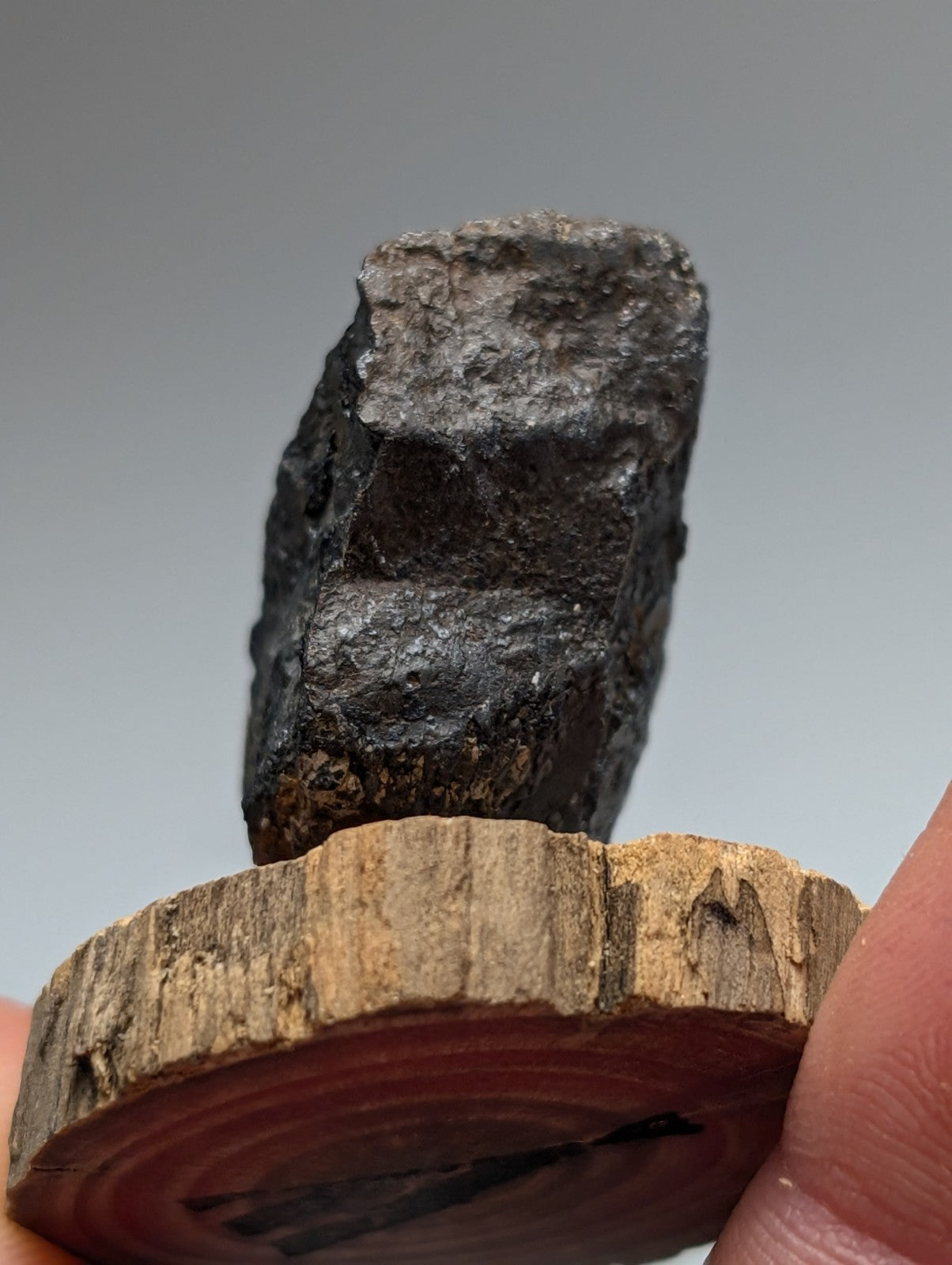 A dark rough-textured magnetite meteorite on a wood stand from magnet cove hot spring county arkansas