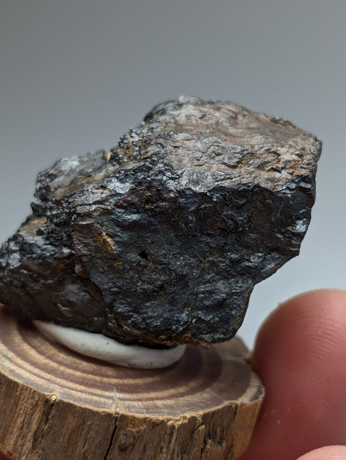 A rugged dark metallic magnetite meteorite with rough surface and grayish tones from Magnet Cove Arkansas on wood stand