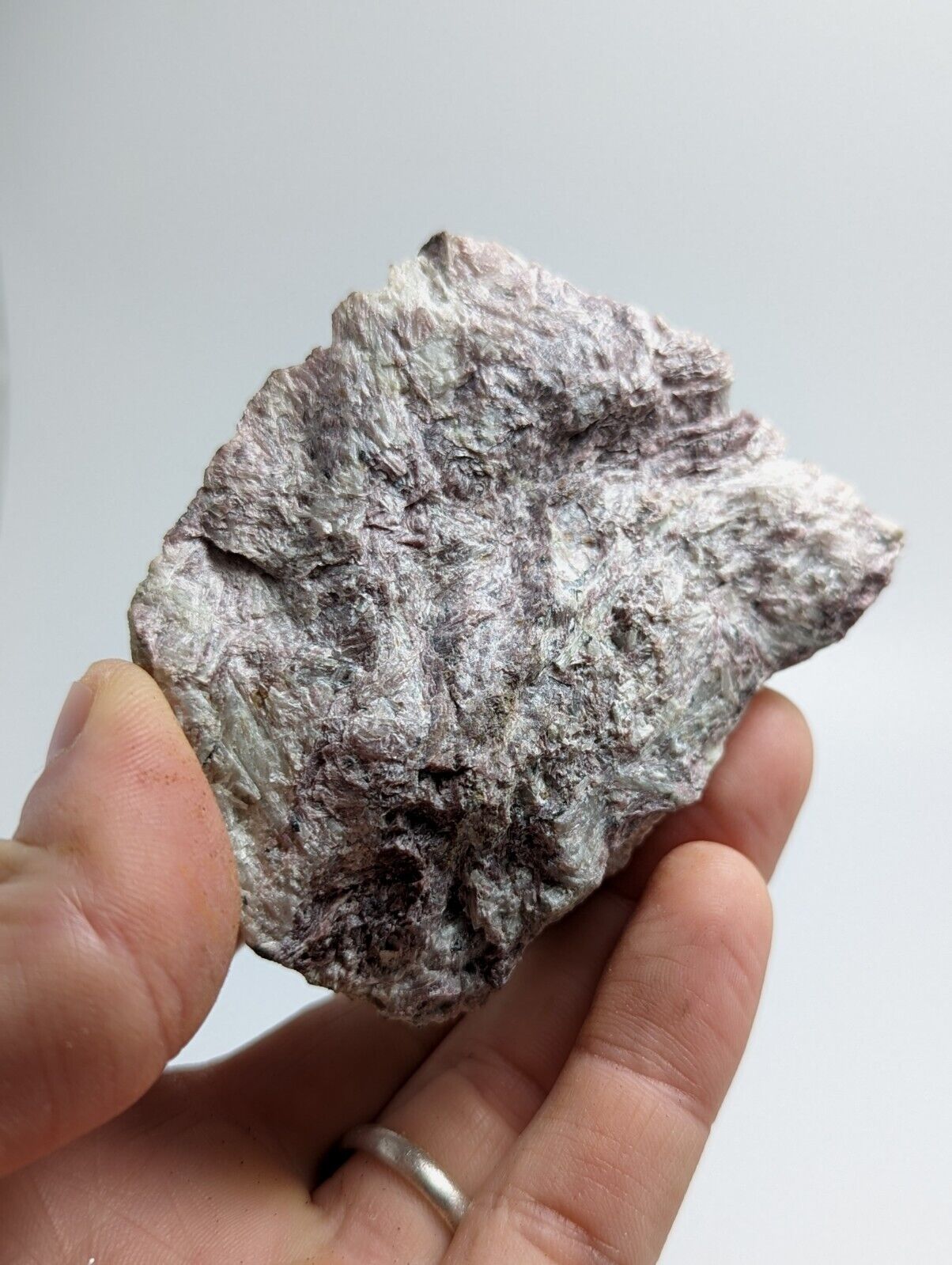 Miserite with Wollastonite -North Wilson Pit Union Carbide Mine Arkansas Rare - Collectibles:Rocks Fossils &