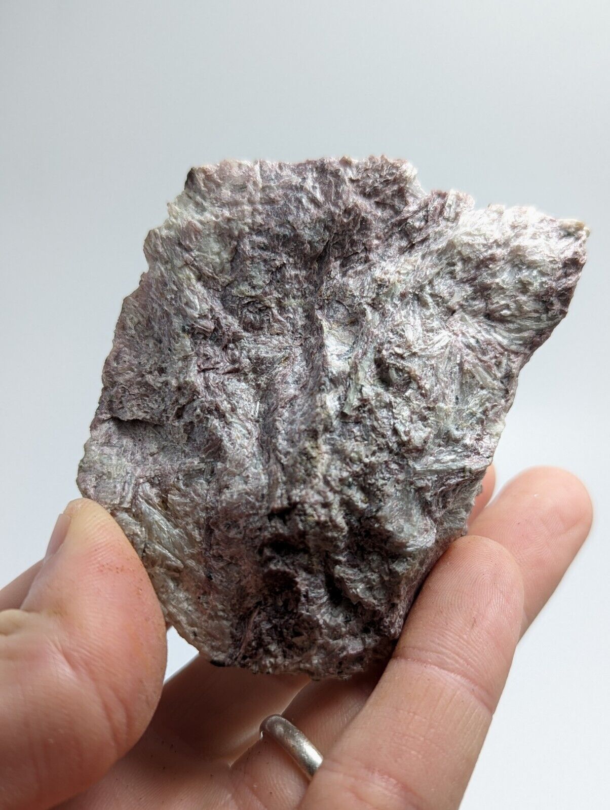 Miserite with Wollastonite -North Wilson Pit Union Carbide Mine Arkansas Rare - Collectibles:Rocks Fossils &