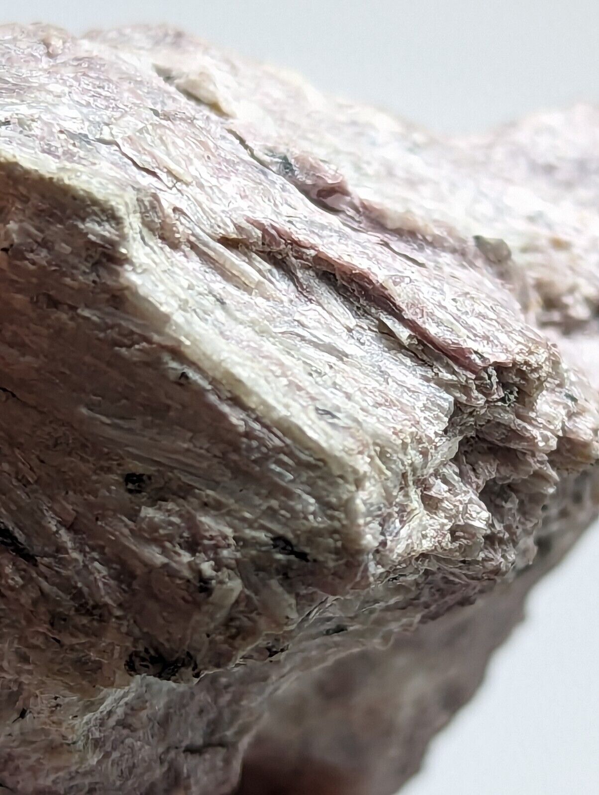 Miserite with Wollastonite -North Wilson Pit Union Carbide Mine Arkansas Rare - Collectibles:Rocks Fossils &