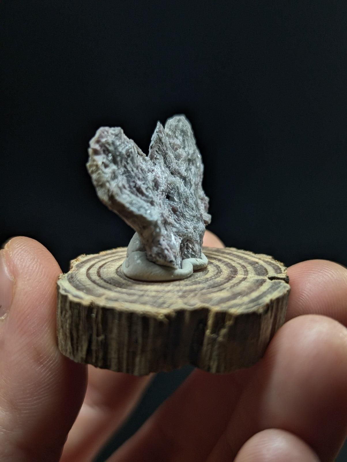 Gray, textured mineral specimen with a rough, crystalline surface mounted on a circular wooden base.