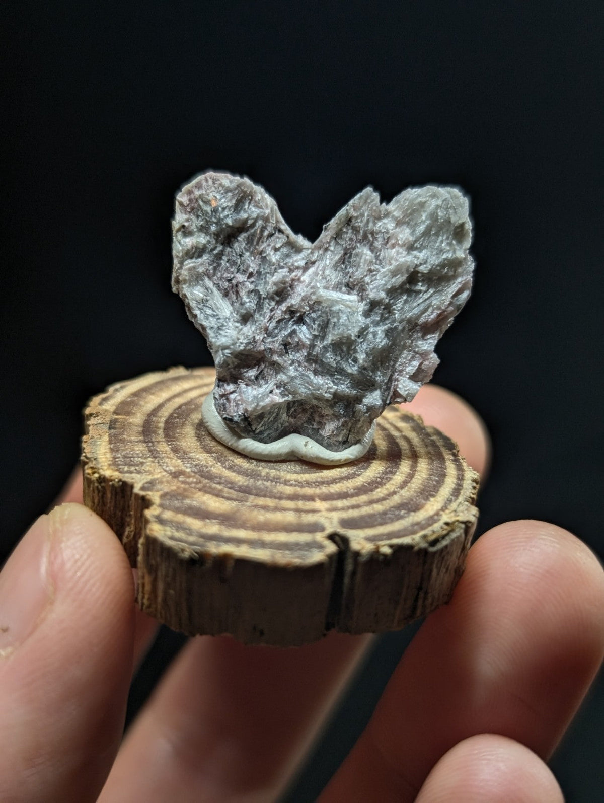 A gray, rough-textured mineral specimen with a distinctive heart-like shape is displayed on a circular wooden slice.