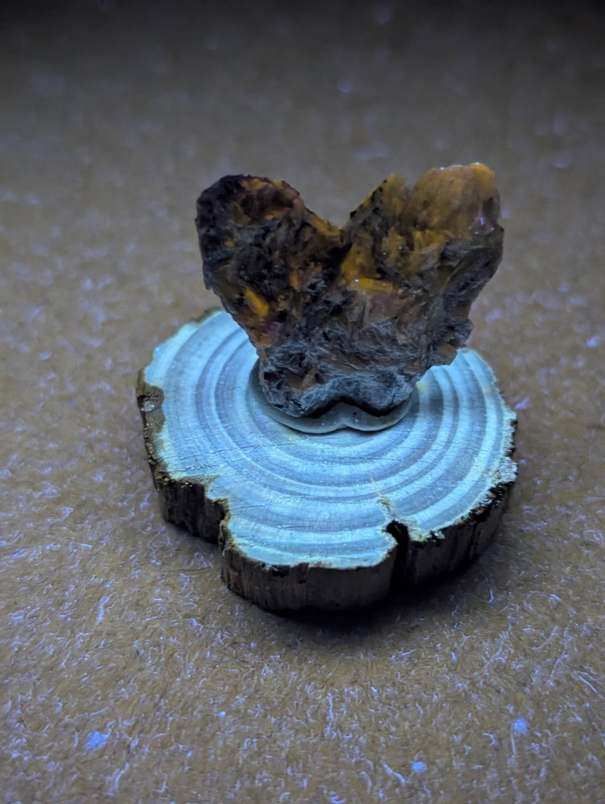 A rugged, earthy mineral specimen with patches of golden-yellow crystals set atop a circular wooden slice base.
