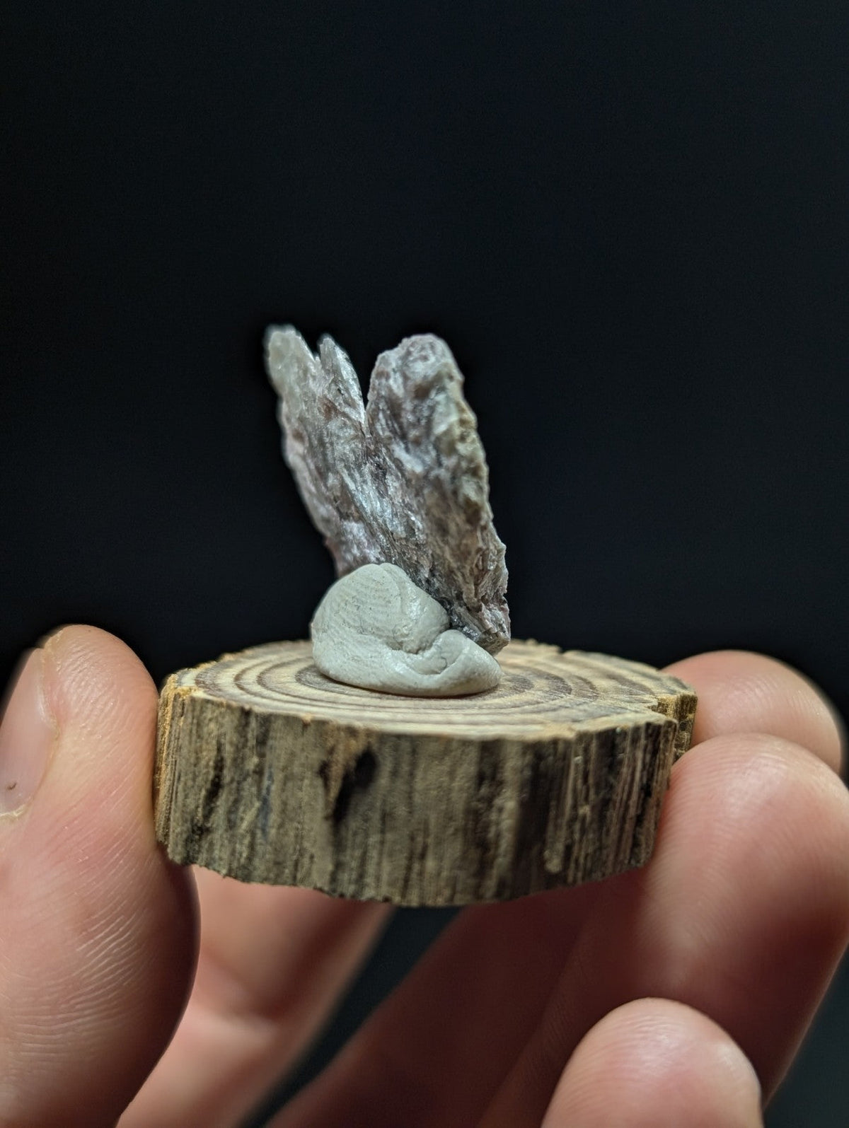 A delicate, grayish-white stone sculpture of a sleeping creature with textured wings rests atop a rustic wooden slice.