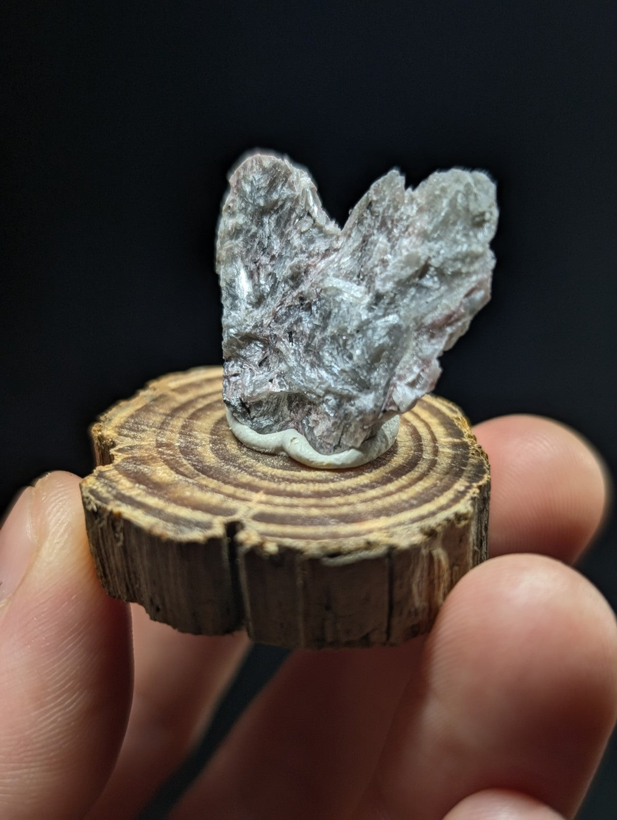A translucent, grayish-blue crystal with a rough, jagged surface sits atop a circular wooden slice.