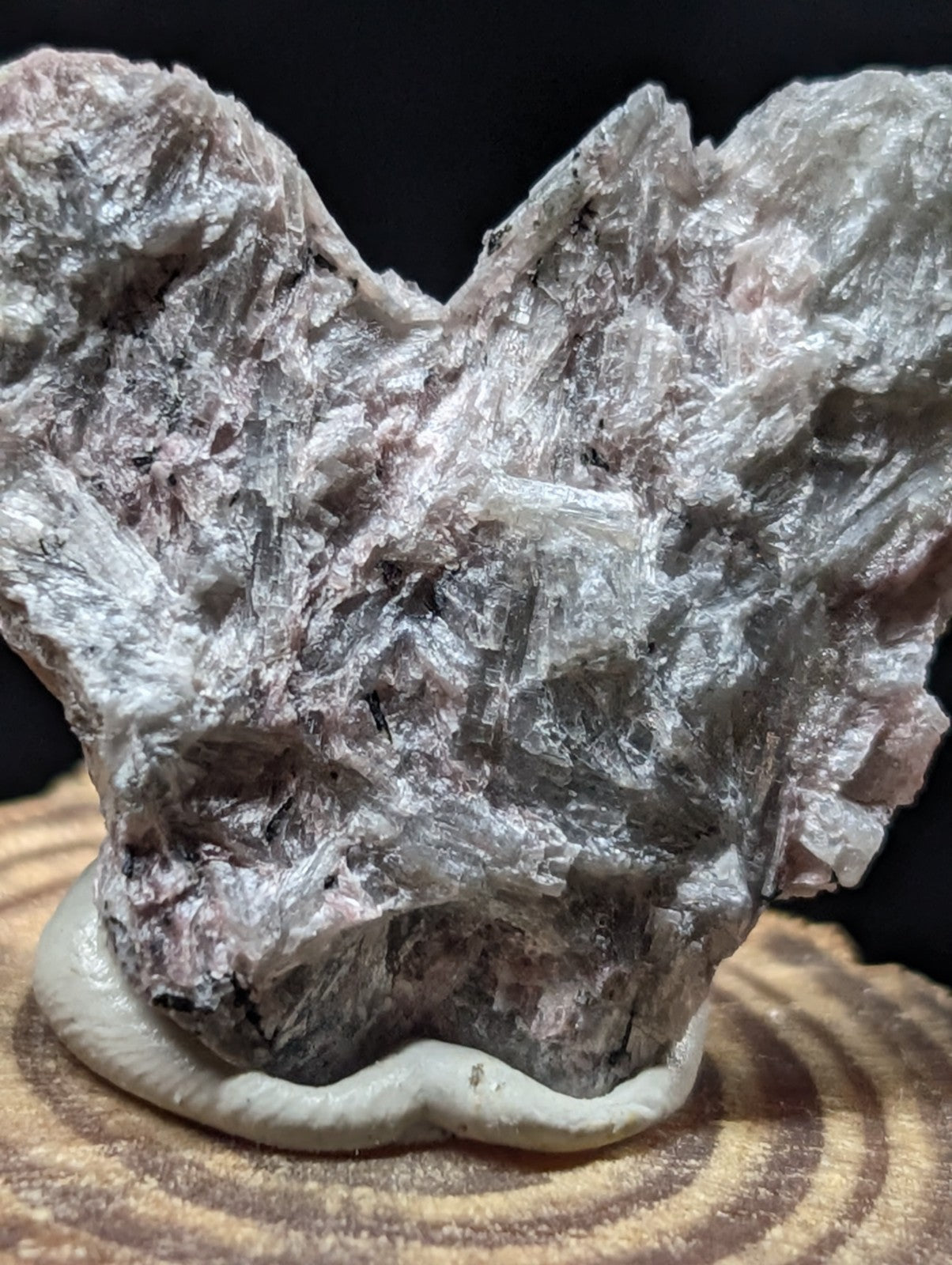 A striking gray and white translucent mineral specimen with crystalline formations, displayed on a light-colored ceramic base.