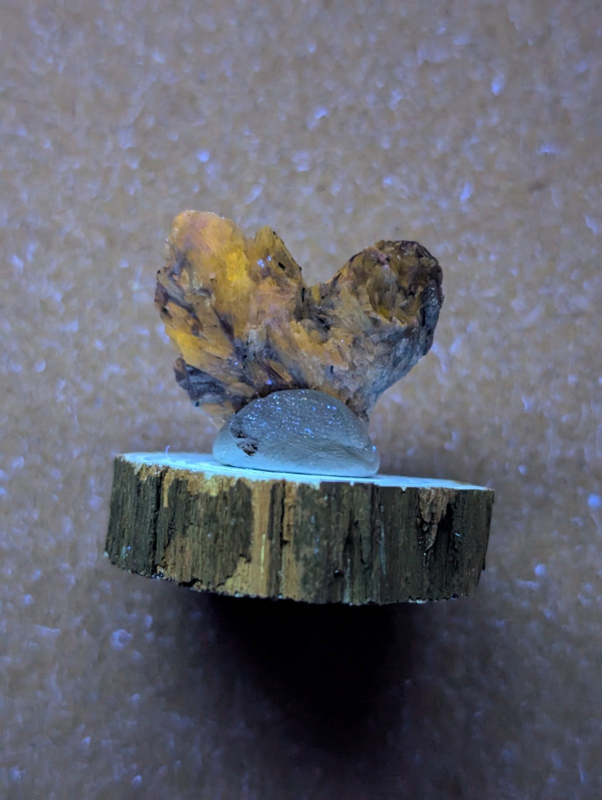 A rustic wooden slice displaying a natural mineral specimen with golden-yellow and dark brown crystalline formations atop a smooth, translucent grayish-blue stone.