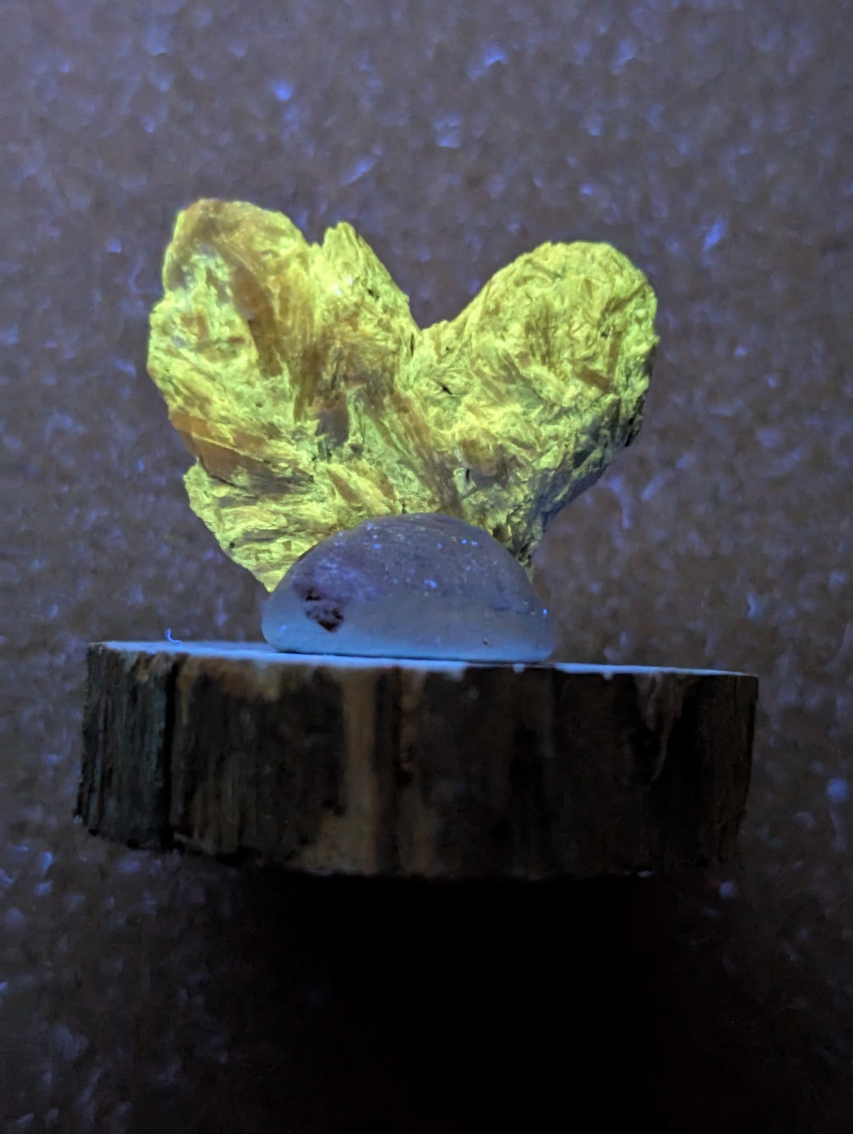 A glowing golden, leaf-shaped mineral specimen rests atop a smooth, translucent blue stone on a rustic wooden slice.