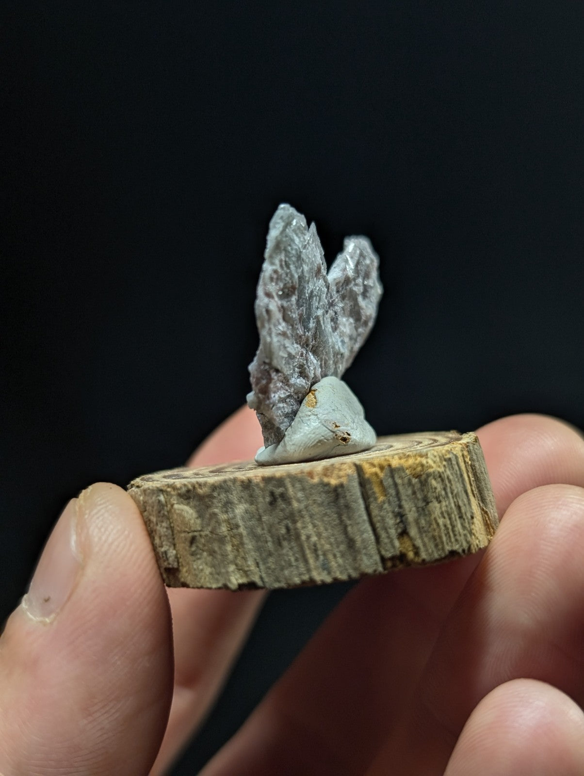 A gray, crystalline mineral specimen with a rough, jagged texture sits atop a small, circular wooden slice held in someone’s hand.