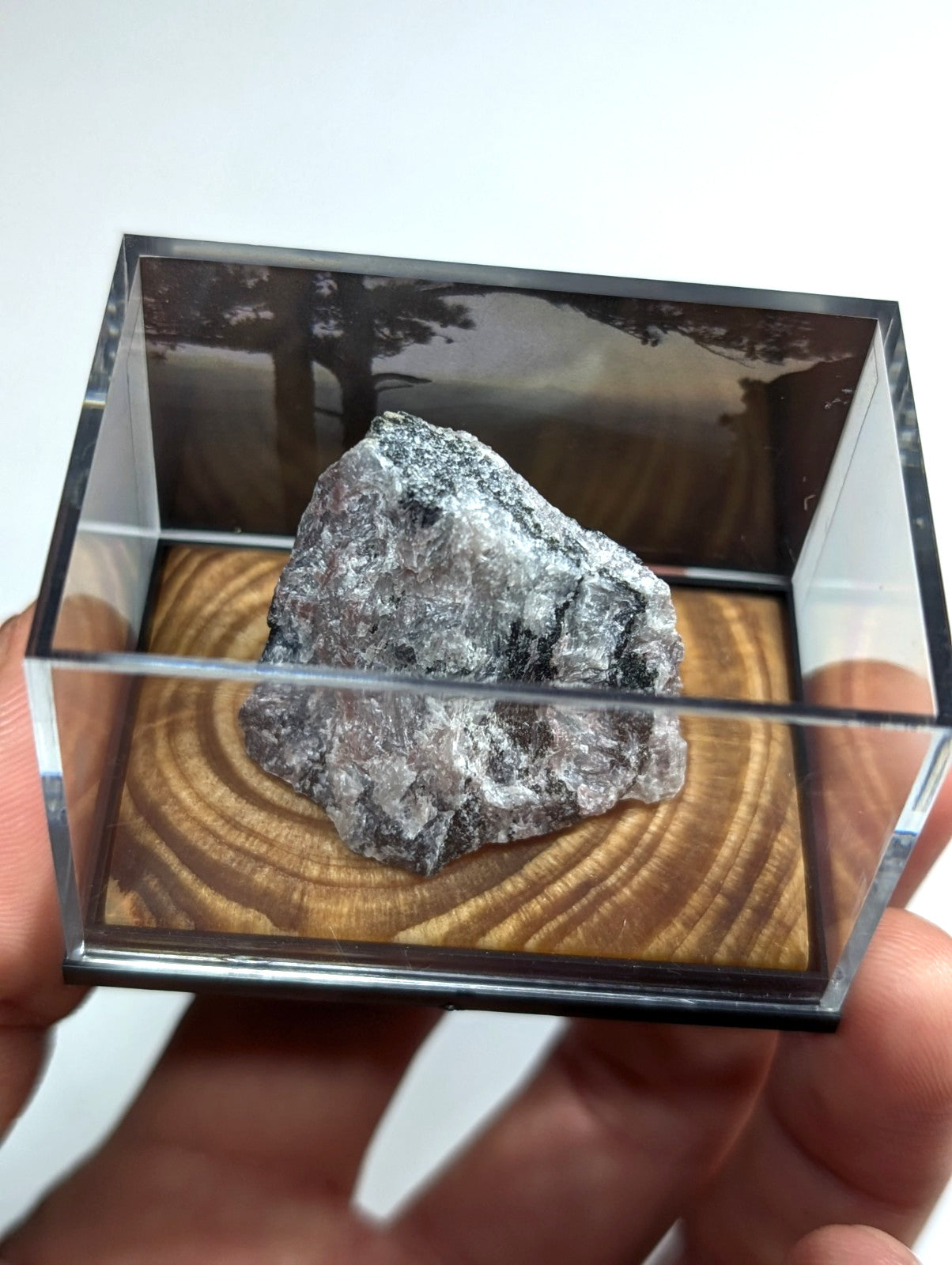 A rough, grayish-black mineral specimen with a speckled surface sits inside a clear acrylic display case resting on a circular wooden base.