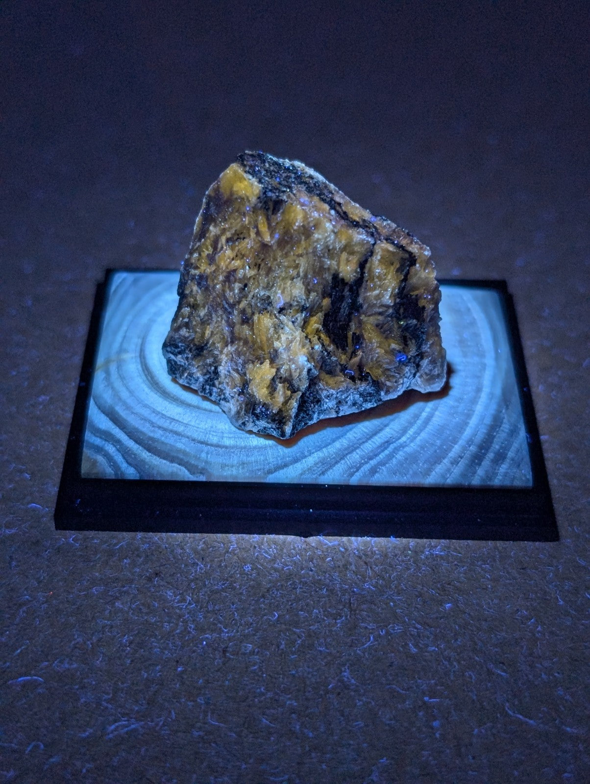 A rugged, irregularly shaped mineral specimen with a striking yellow and dark gray patterned surface rests on a circular wooden display base.