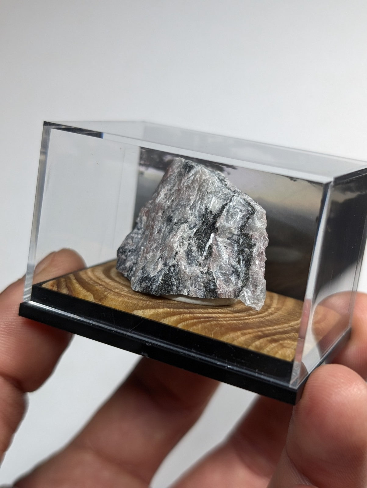 A gray, rough-textured rock specimen displayed in a clear acrylic display case with a wooden base.