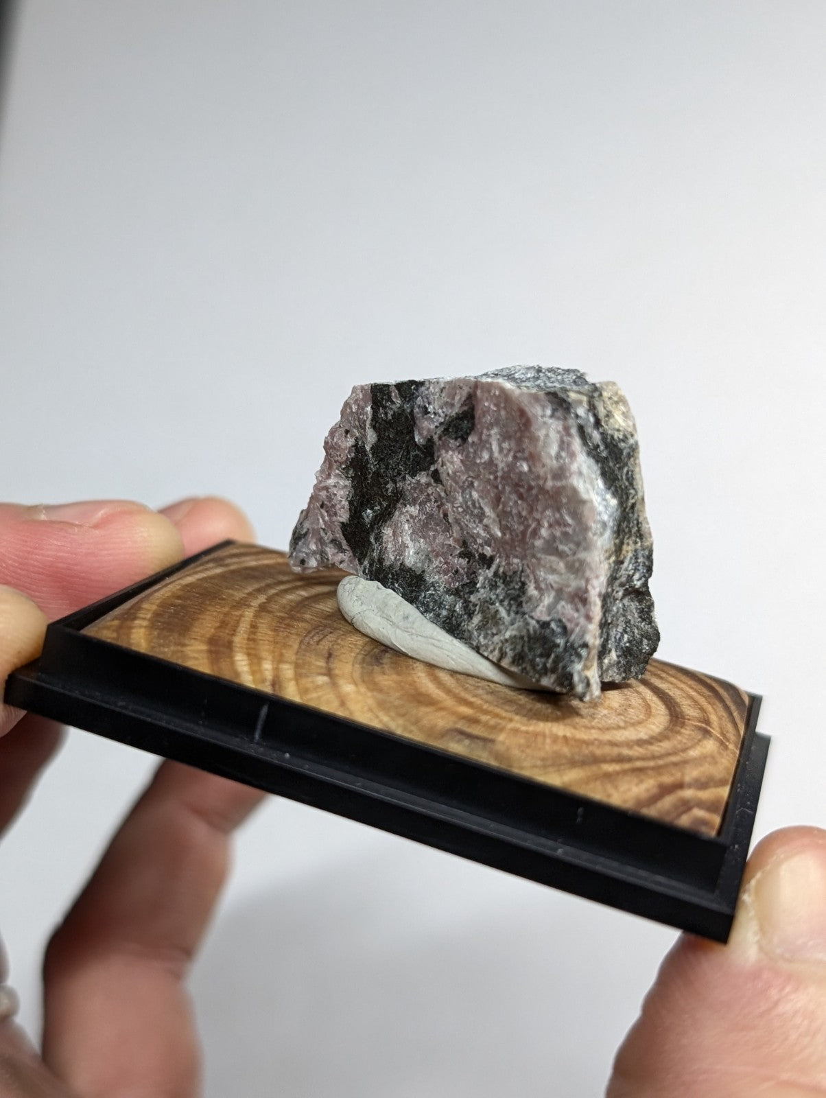 A rugged, speckled gray and black mineral specimen displayed on a wooden base with a sleek black frame.