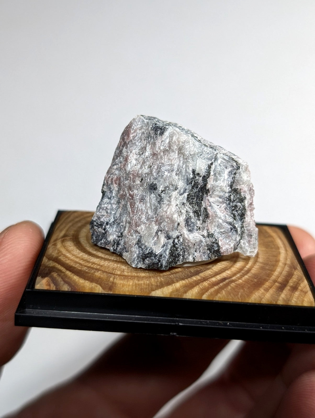 A gray and white speckled mineral specimen displayed on a wooden base with black trim.