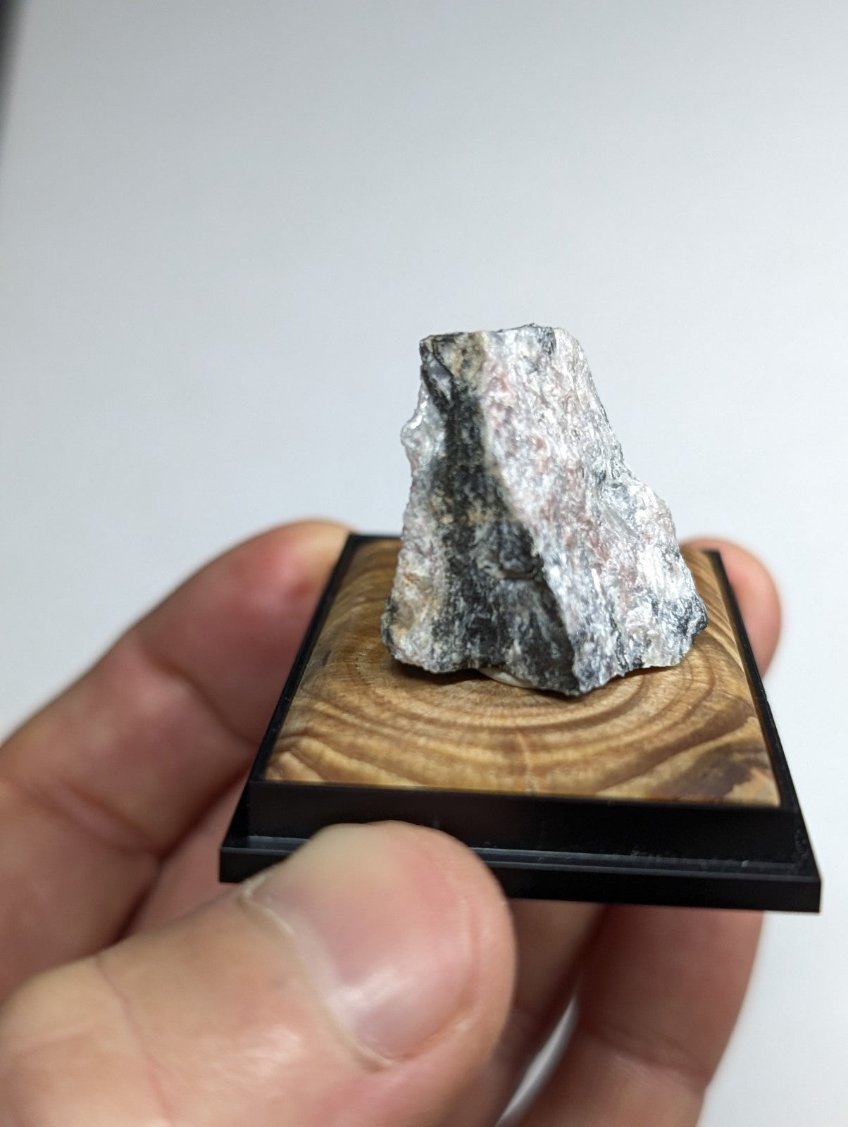 A gray and white speckled rock specimen displayed on a wooden base with black trim.