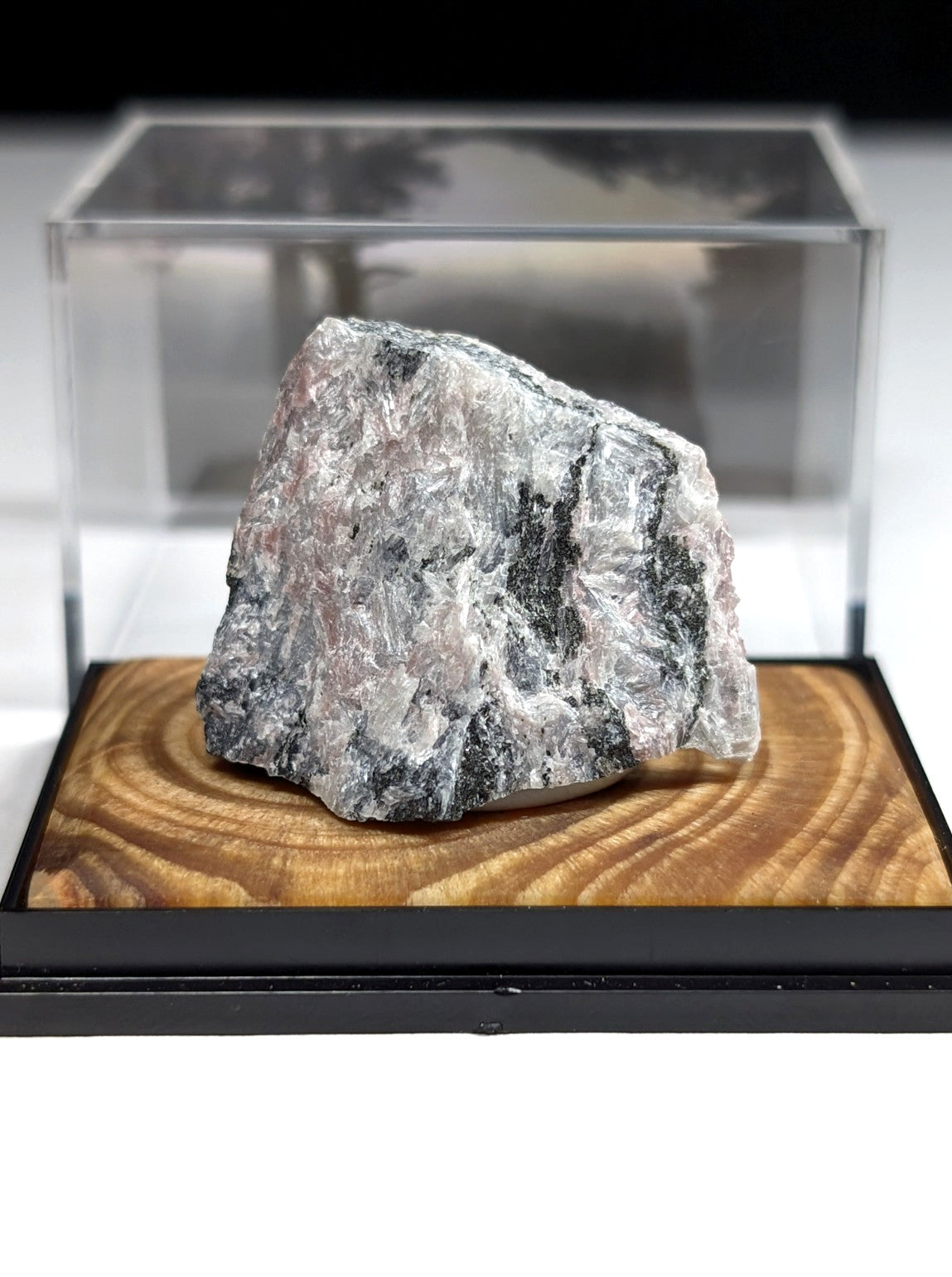 A rugged, naturally textured rock specimen with a mottled pattern of gray, white, and subtle pinkish hues rests on a polished wooden base within a clear acrylic display case.