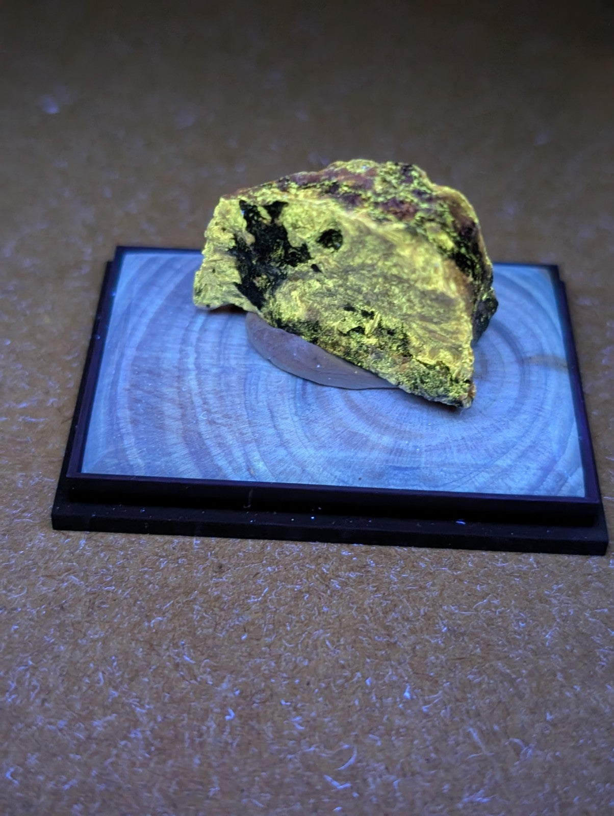 A vibrant, irregularly shaped piece of fluorescent yellow mineral with dark inclusions rests on a circular wooden display base.