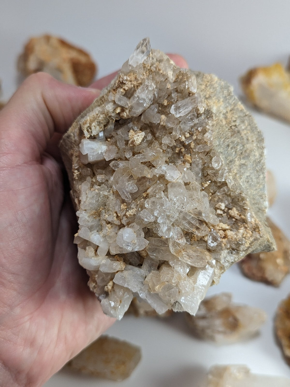 A hand holds a clear quartz crystal cluster embedded in a light brown rock matrix.