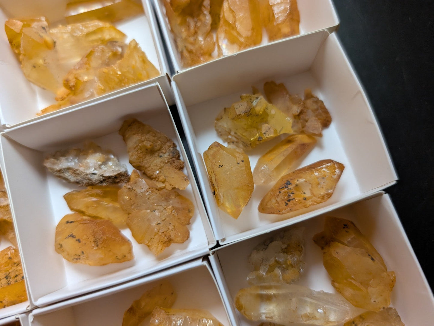 Yellow translucent crystal specimens in white display boxes.