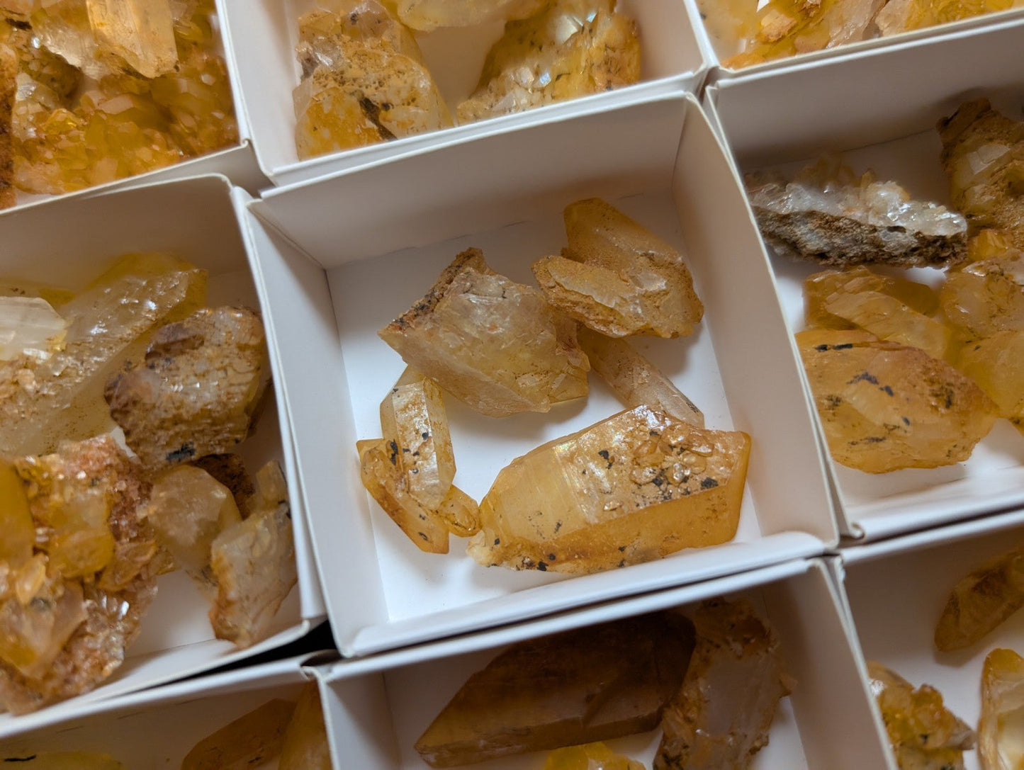 Yellow-orange citrine crystals in white display boxes.