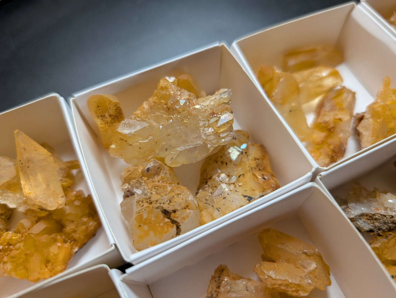 Golden-yellow citrine crystal clusters nestled in white square boxes.