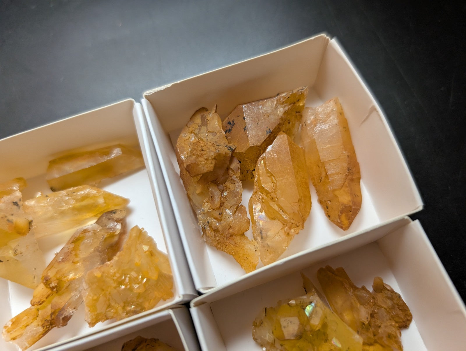Golden-yellow citrine crystals with translucent, faceted surfaces nestled in white display boxes.