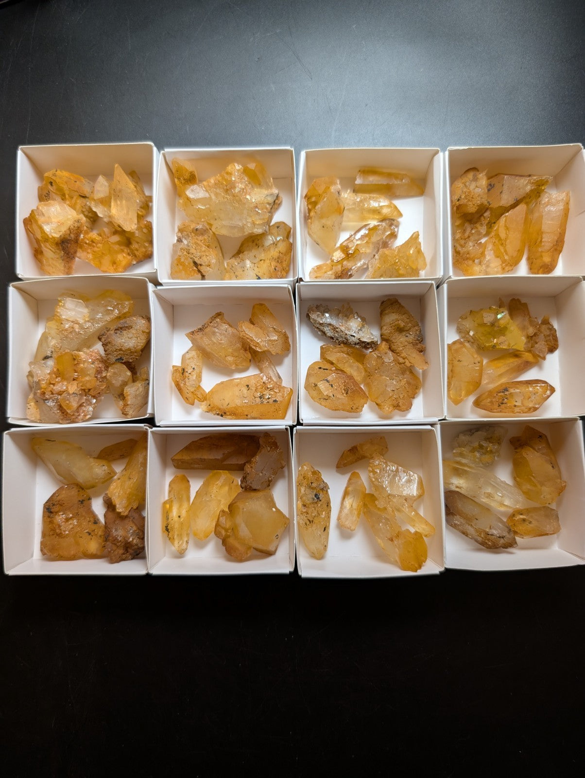A collection of translucent golden-yellow crystal specimens, each nestled in its own white square box.